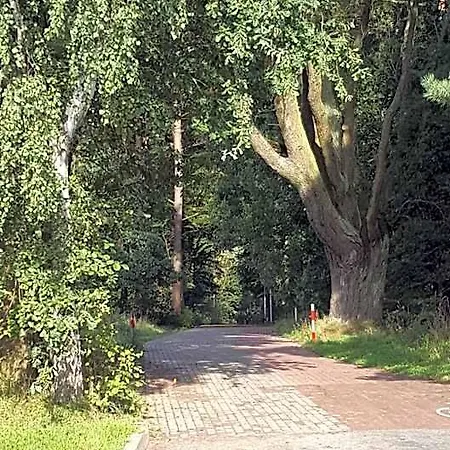 Hotel Goscinny Przewloka
